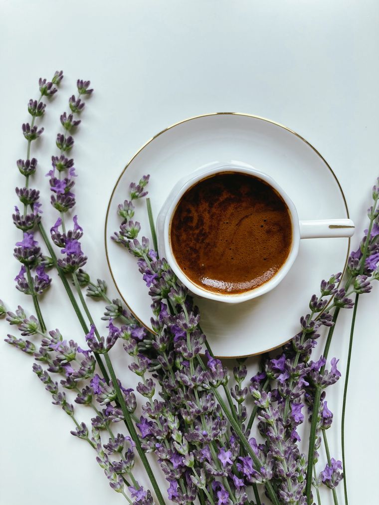 Does Starbucks Have Lavender Syrup: Exploring Floral Flavor Additions