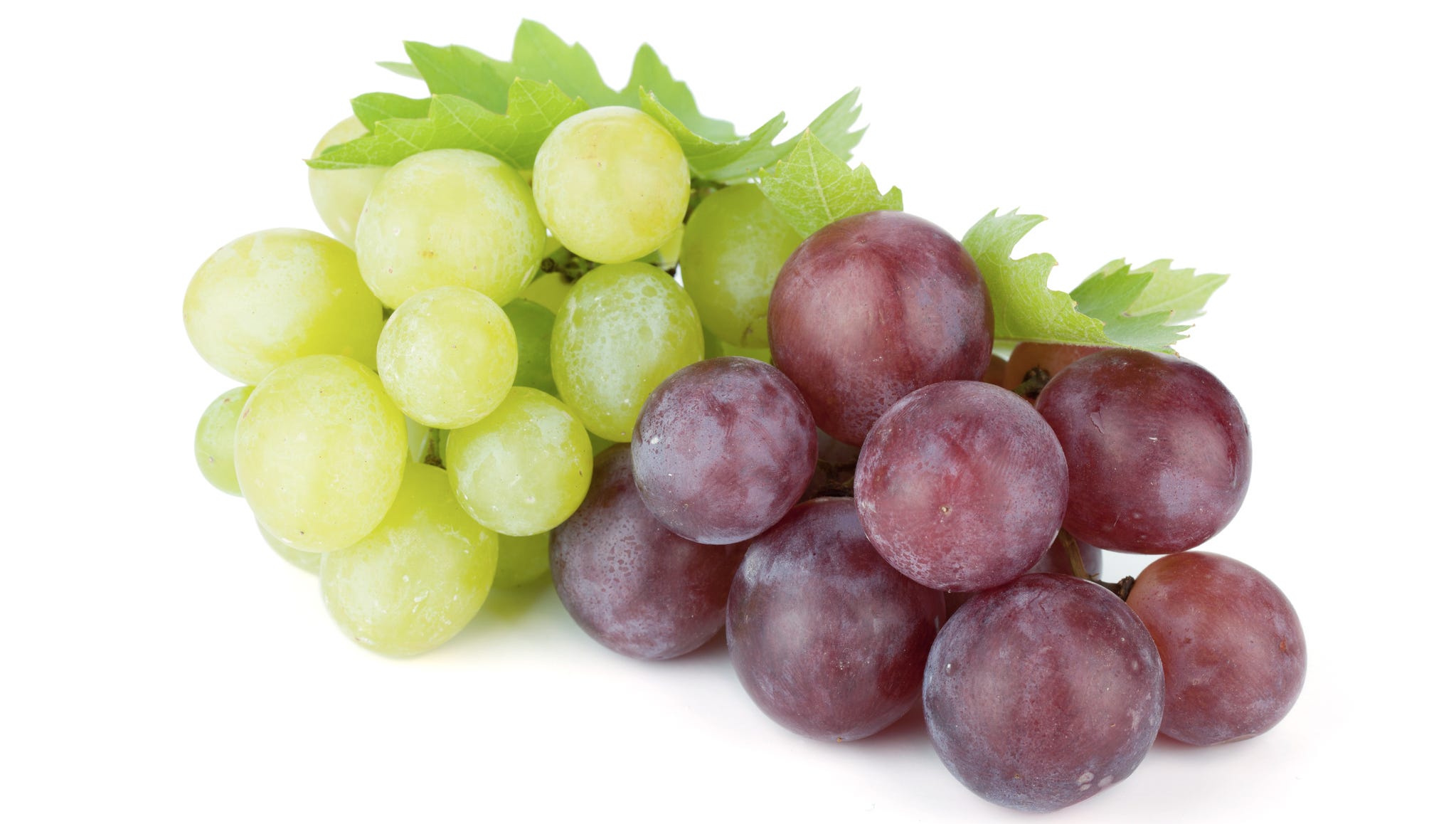 Can You Eat Grape Seeds: Dispelling Common Myths