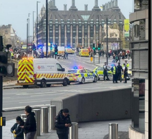 London Stabbing Today: Four Arrested After Man Stabbed In Front Of Tourists Near Parliament