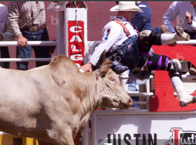 TJ Baird Death  & Obituary Castor, Alberta: Alberta Rodeo Legend And Bullfighter, TJ Baird Has Died